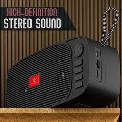 Portable Speaker with Hi-Res Audio