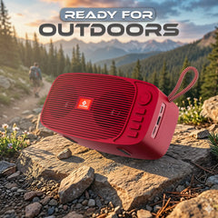 Portable speaker