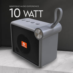 Portable Speaker